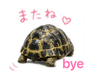 843128036