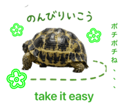843128040