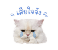 843128151