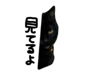 843129218