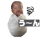 843129512