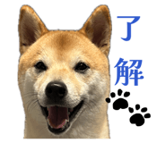 843129986