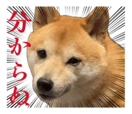 843129989