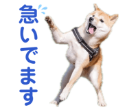 843129990