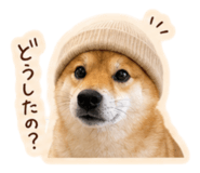 843130092