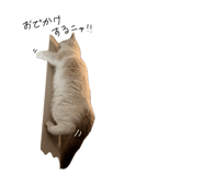 843130109