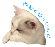 843130110