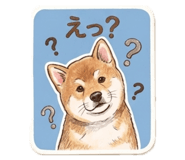 843130894