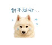 843132220