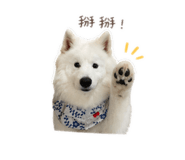 843132240