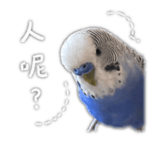 843132277