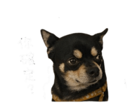 843132595