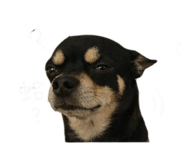843132600