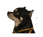 843132601