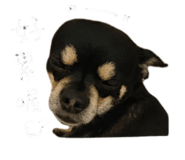 843132608