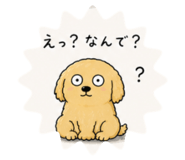 843133872