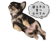 843134546