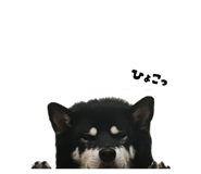 843134633
