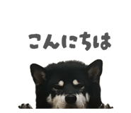 843134634