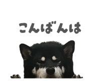 843134635