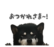 843134636