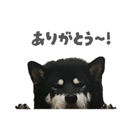 843134637