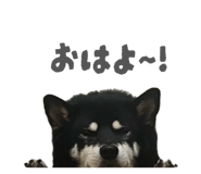 843134638