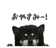 843134639