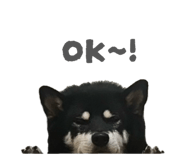 843134640