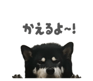 843134641