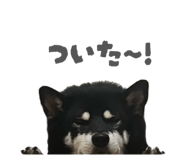 843134642