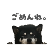 843134643