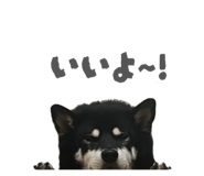 843134644