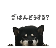 843134646