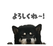 843134647