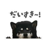 843134648