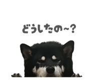 843134649