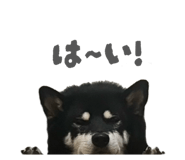 843134650
