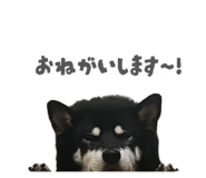 843134651