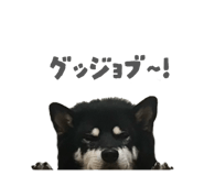 843134652