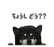 843134653
