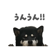 843134654