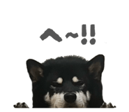 843134656