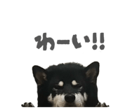 843134657