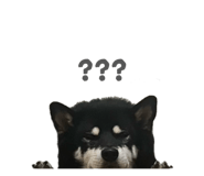 843134658