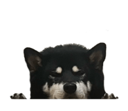843134659