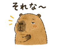 843135505