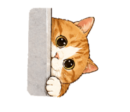843137171