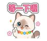 843137521
