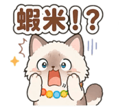 843137548